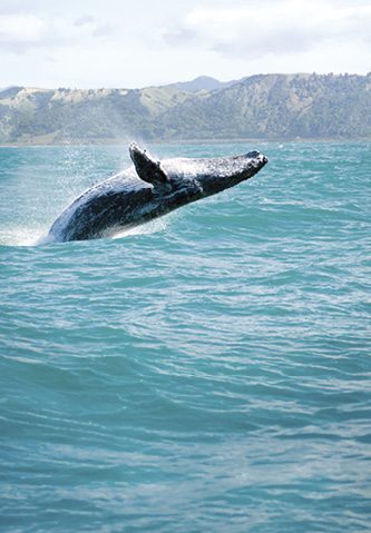 Alaska, Queen Elizabeth