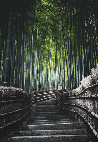 Japón y sus Festivales, 5 de Agosto