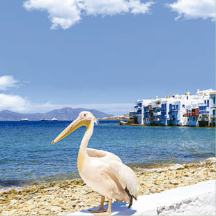 Crucero de vacaciones Alaska